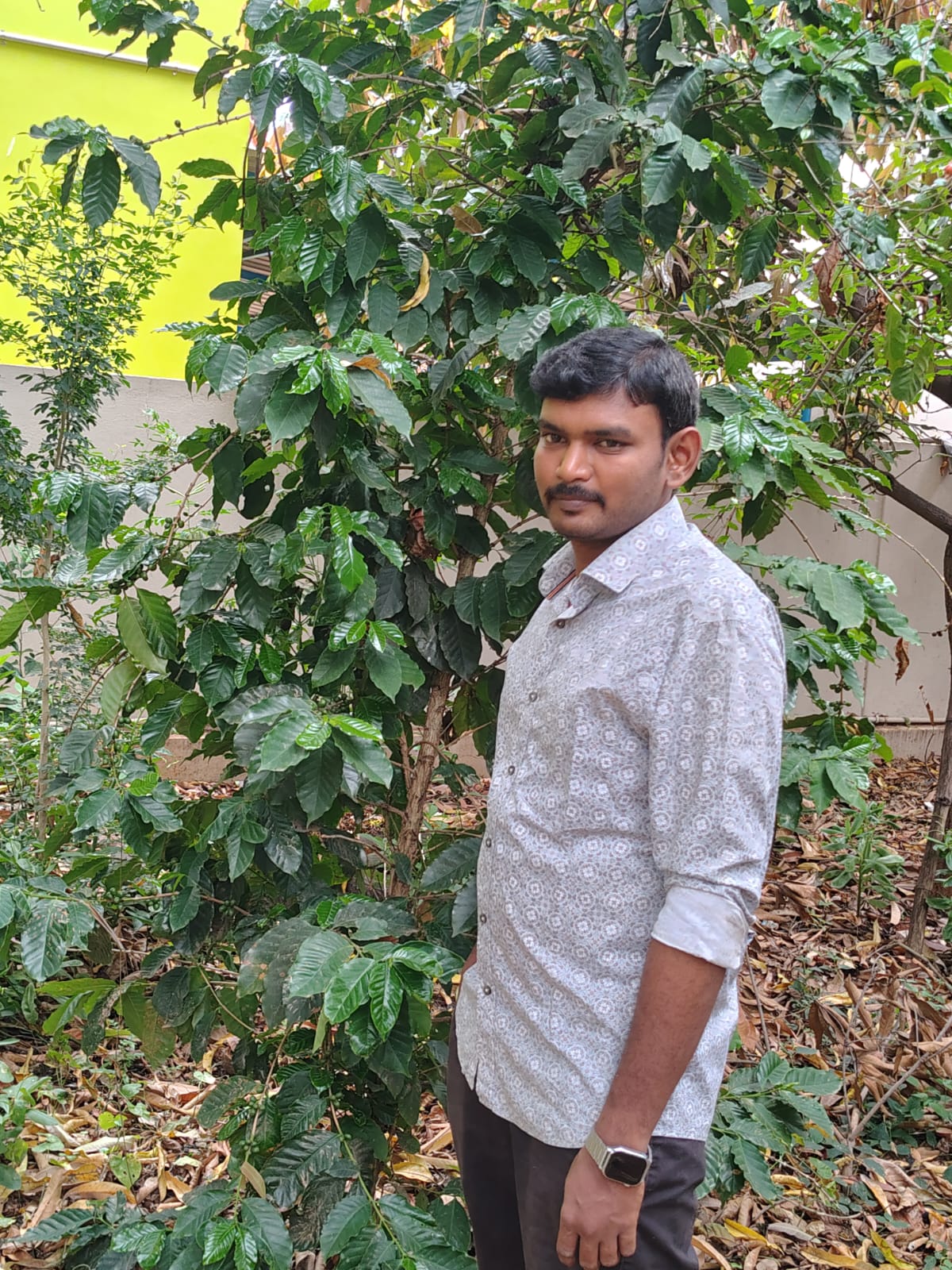 RKM4277